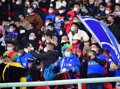 二十四道拐免费看